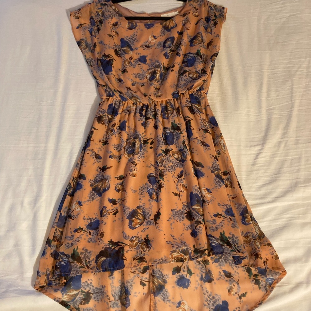 Women’s Lush Peach/ Coral and Blue Floral Print Sheer Dress